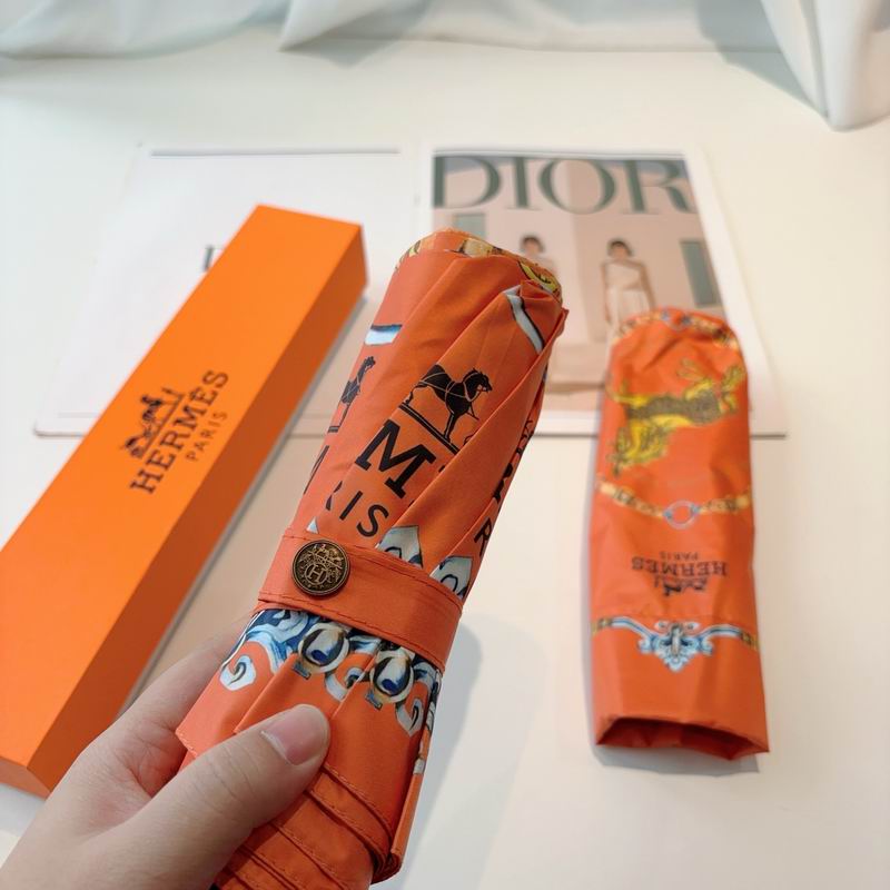 Hermes Umbrella- (12)