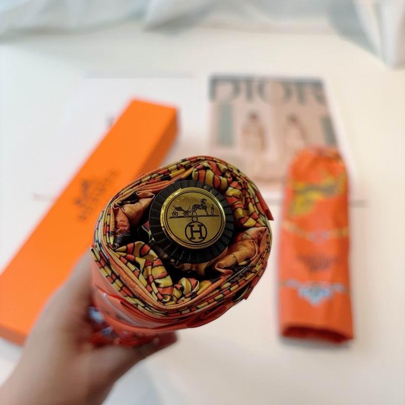 Hermes Umbrella- (13)