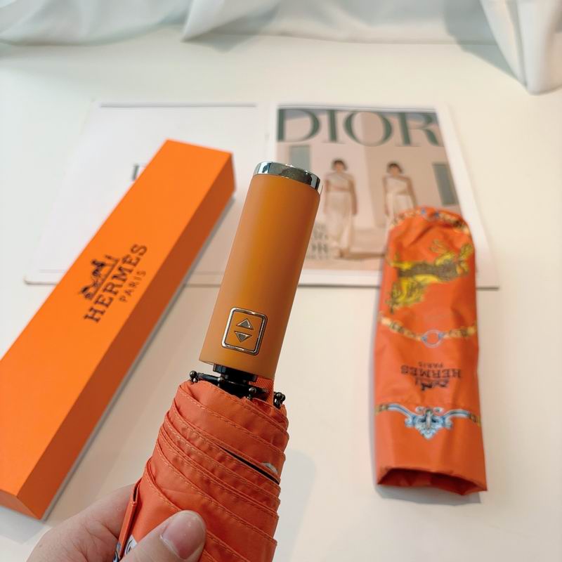 Hermes Umbrella- (14)