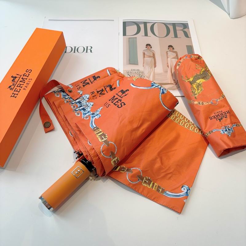 Hermes Umbrella- (15)