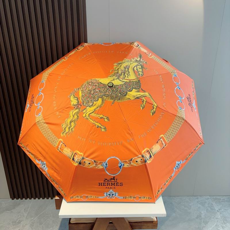 Hermes Umbrella- (16)