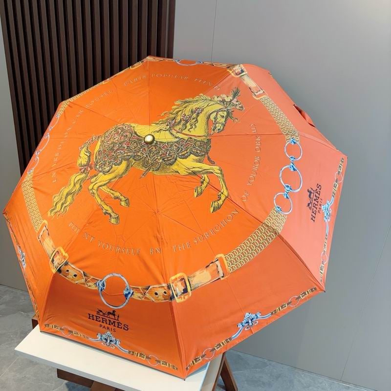 Hermes Umbrella- (17)