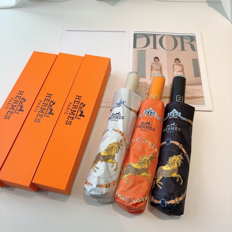 Hermes Umbrella- (19)