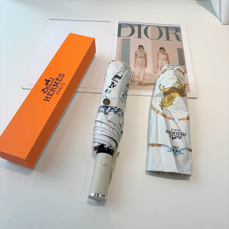 Hermes Umbrella- (2)