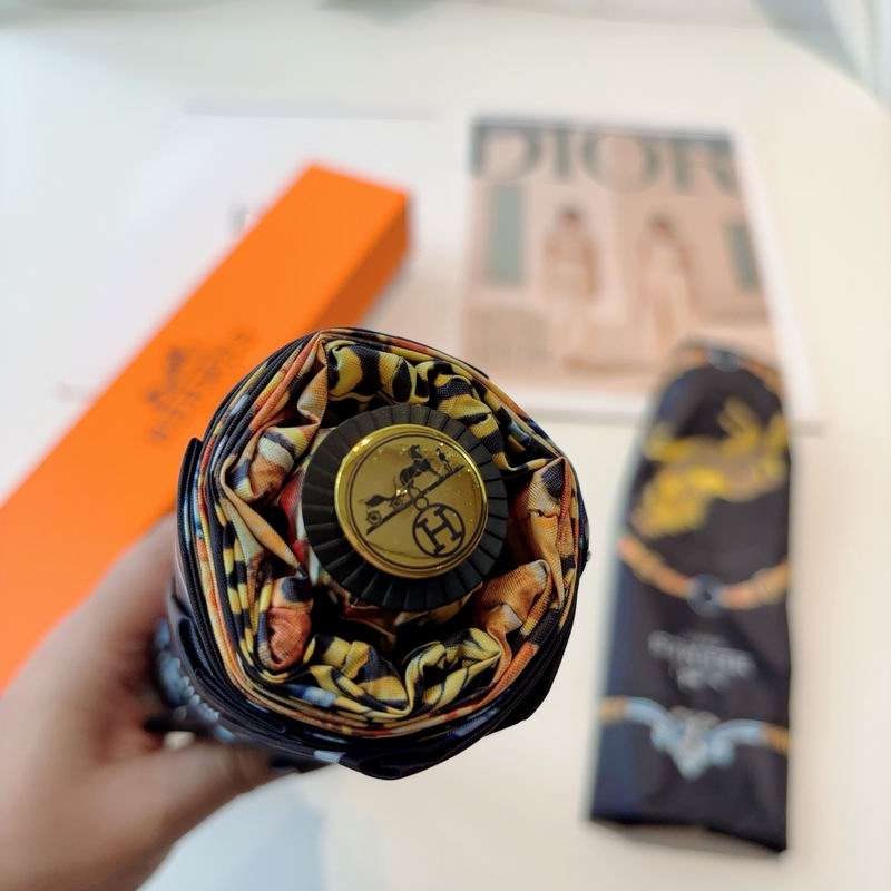 Hermes Umbrella- (23)