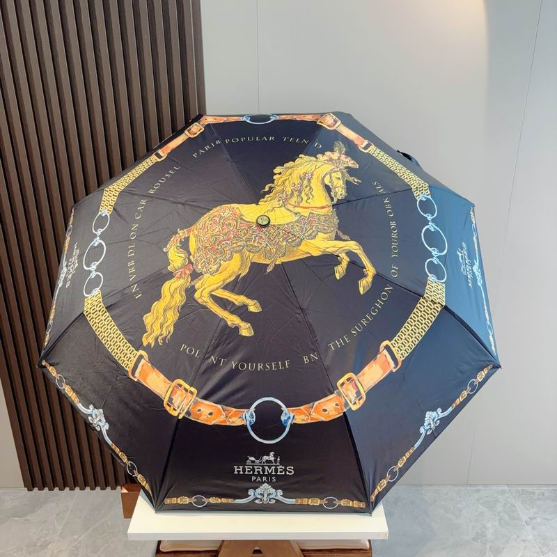 Hermes Umbrella- (26)