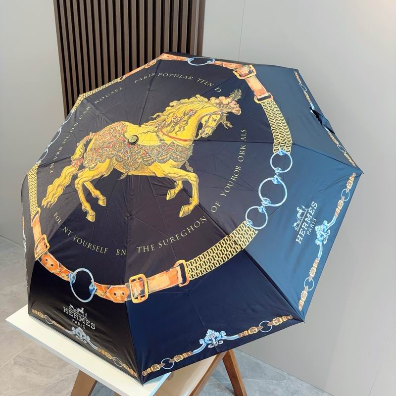 Hermes Umbrella- (28)