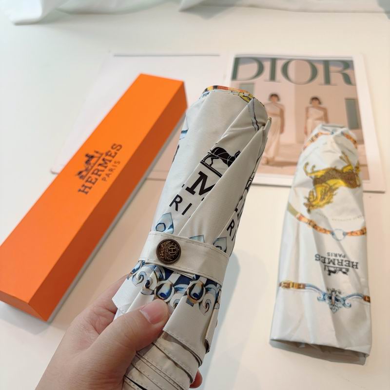 Hermes Umbrella- (3)