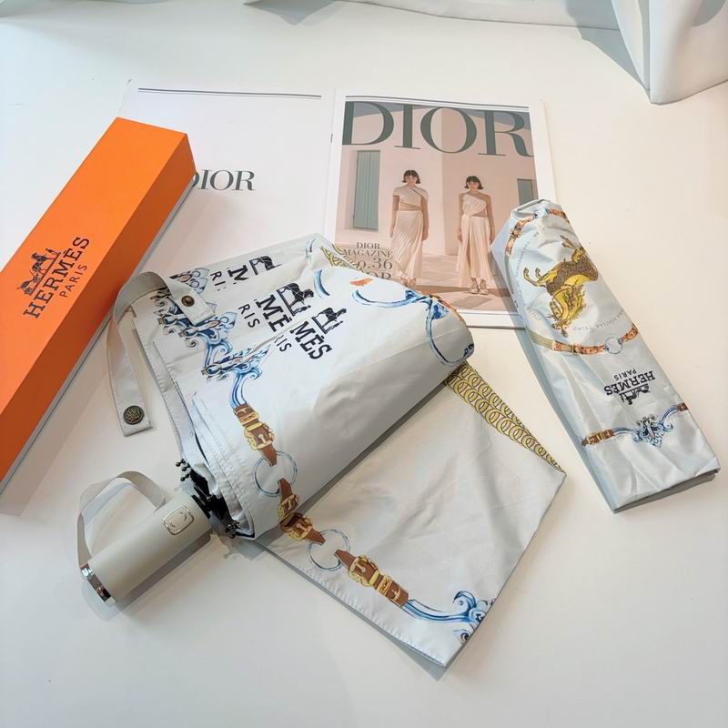 Hermes Umbrella- (6)