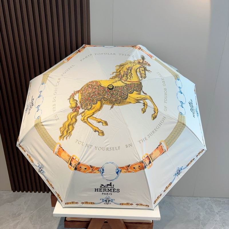 Hermes Umbrella- (7)