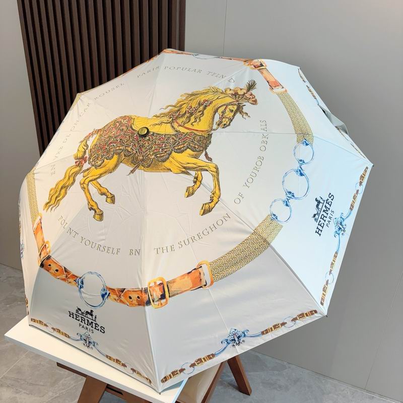 Hermes Umbrella- (9)