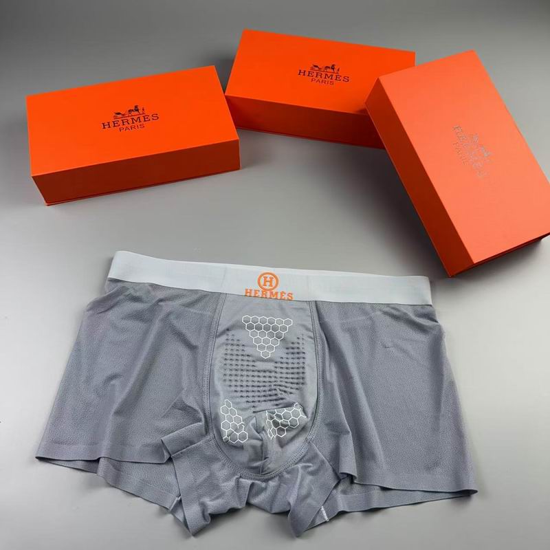 Hermes boxer L-4XL 14 (9)