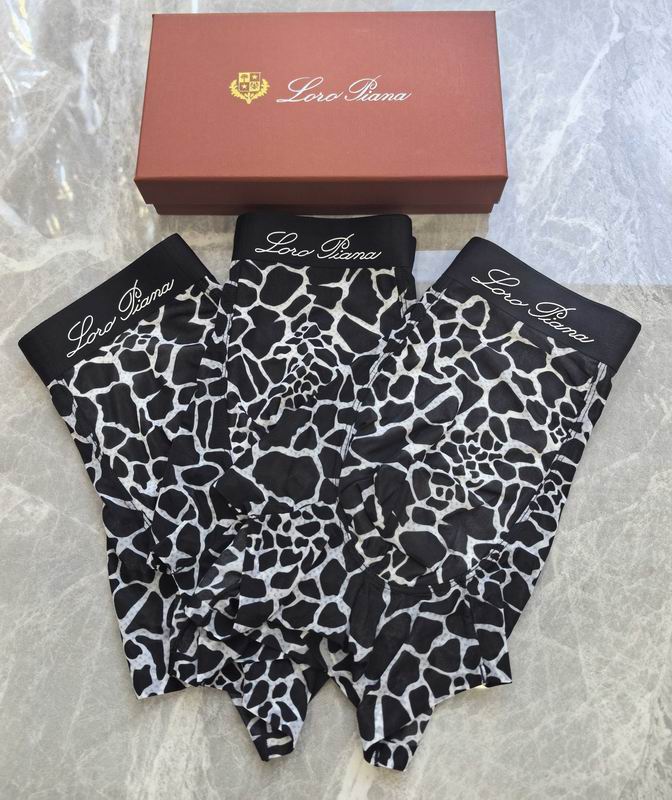 LP boxer L-4XL 06 (3)