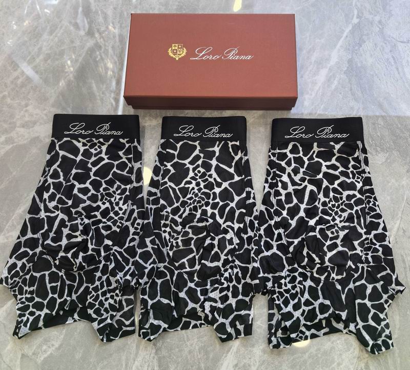 LP boxer L-4XL 06 (4)