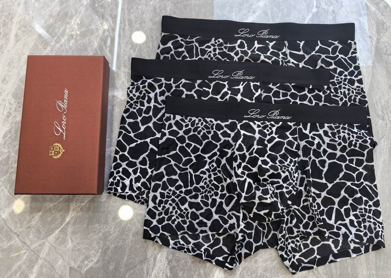 LP boxer L-4XL 06 (6)