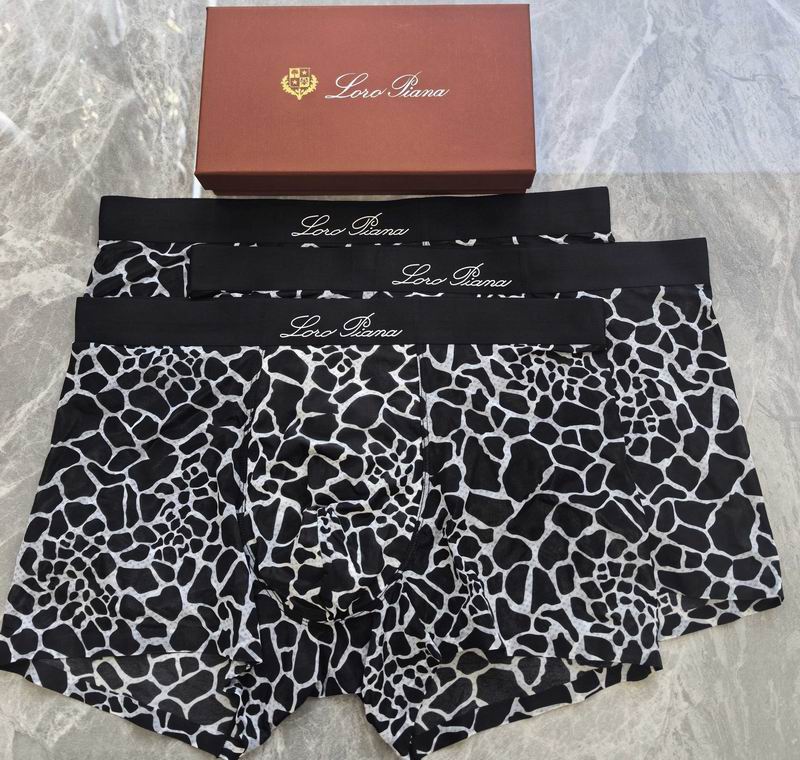 LP boxer L-4XL 06 (7)