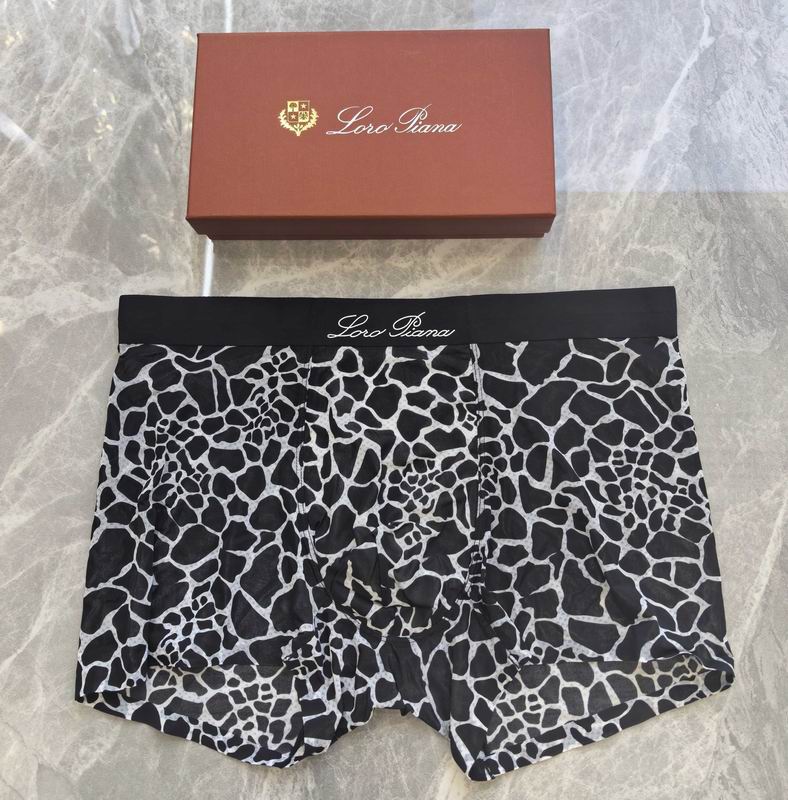 LP boxer L-4XL 06 (8)