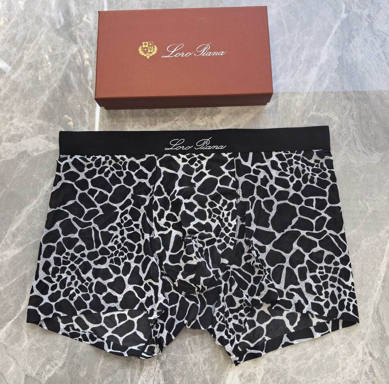 LP boxer L-4XL 06 (9)