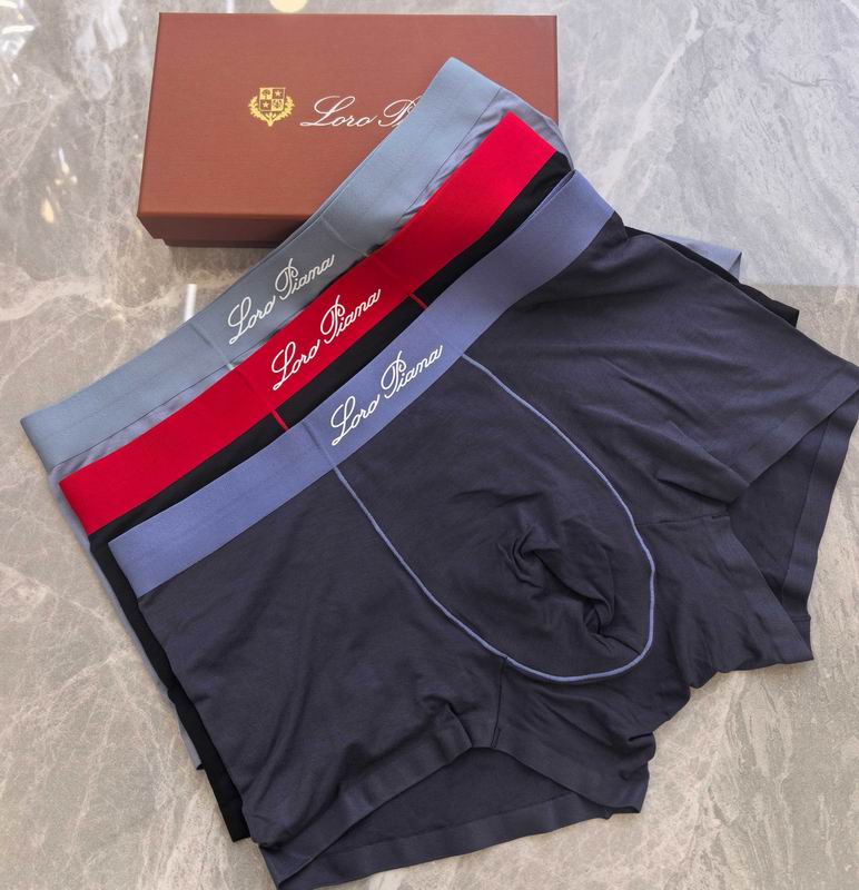 LP boxer L-4XL 08 (1)