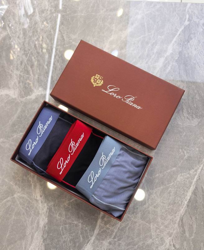 LP boxer L-4XL 08 (2)