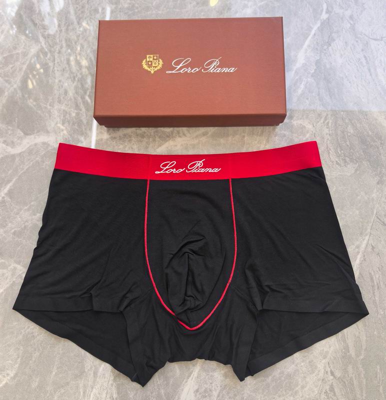 LP boxer L-4XL 08 (3)