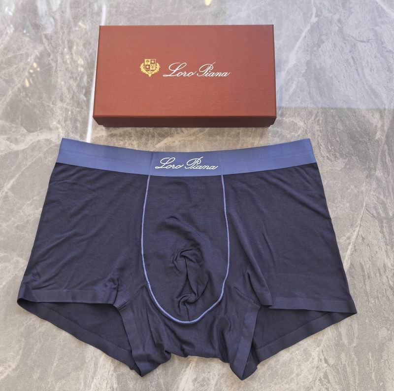 LP boxer L-4XL 08 (4)