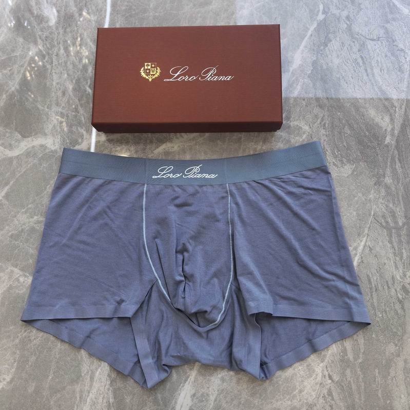 LP boxer L-4XL 08 (5)