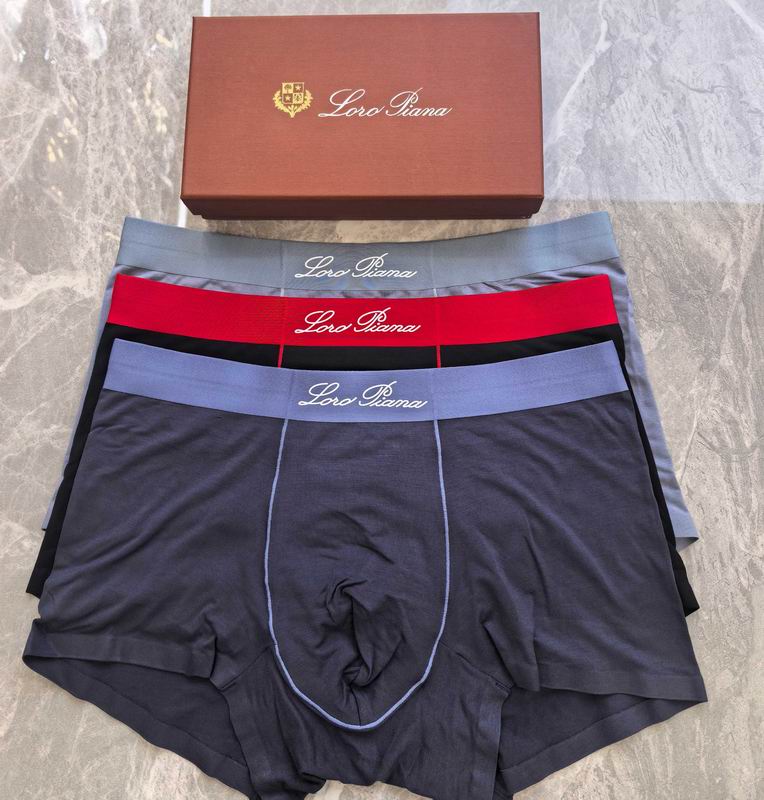 LP boxer L-4XL 08 (6)