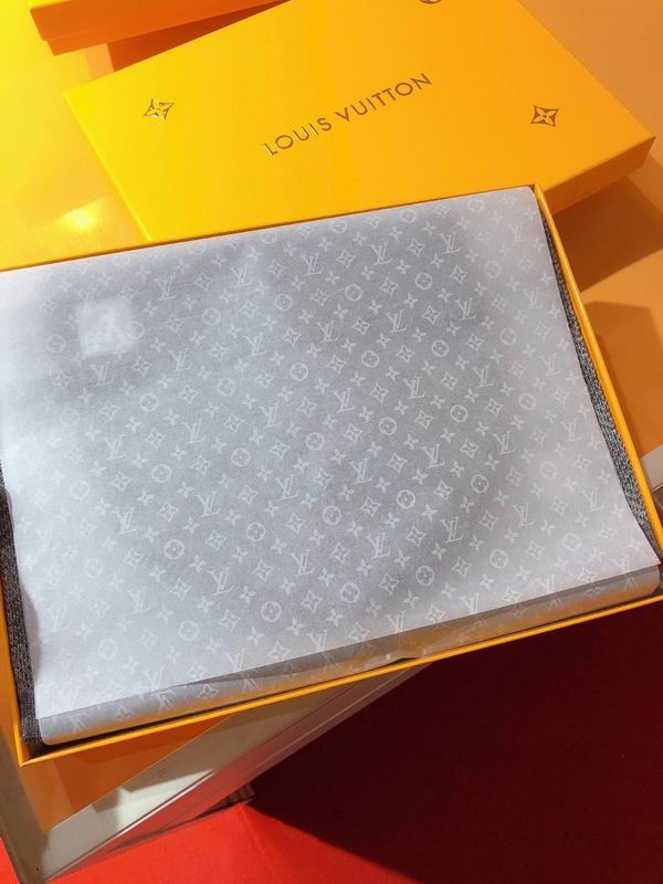 LV Scarf hat 30X180cm E10 (1)