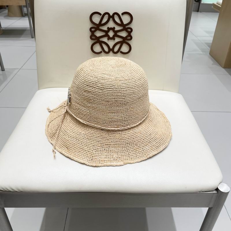 Miumiu hat (60)