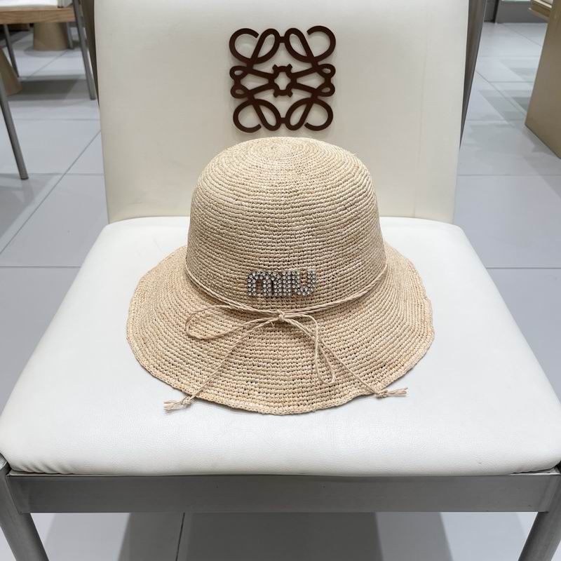 Miumiu hat (61)