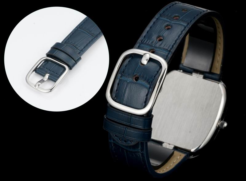 Patek Philippe watch 07 (1)