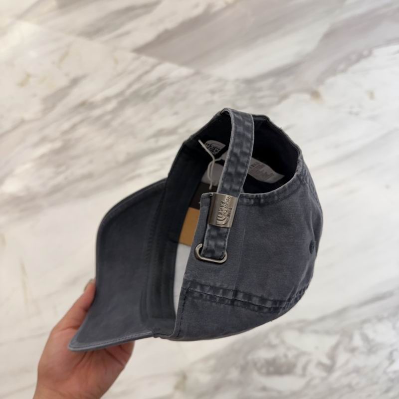 The North Face cap dx (2)