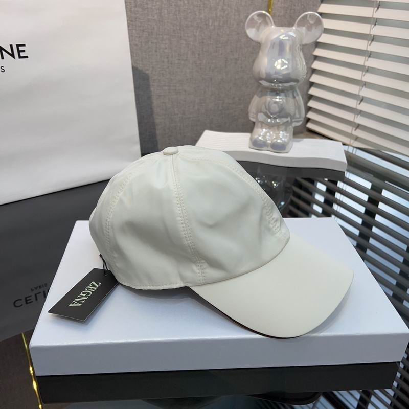 Zegna cap dx  (12)