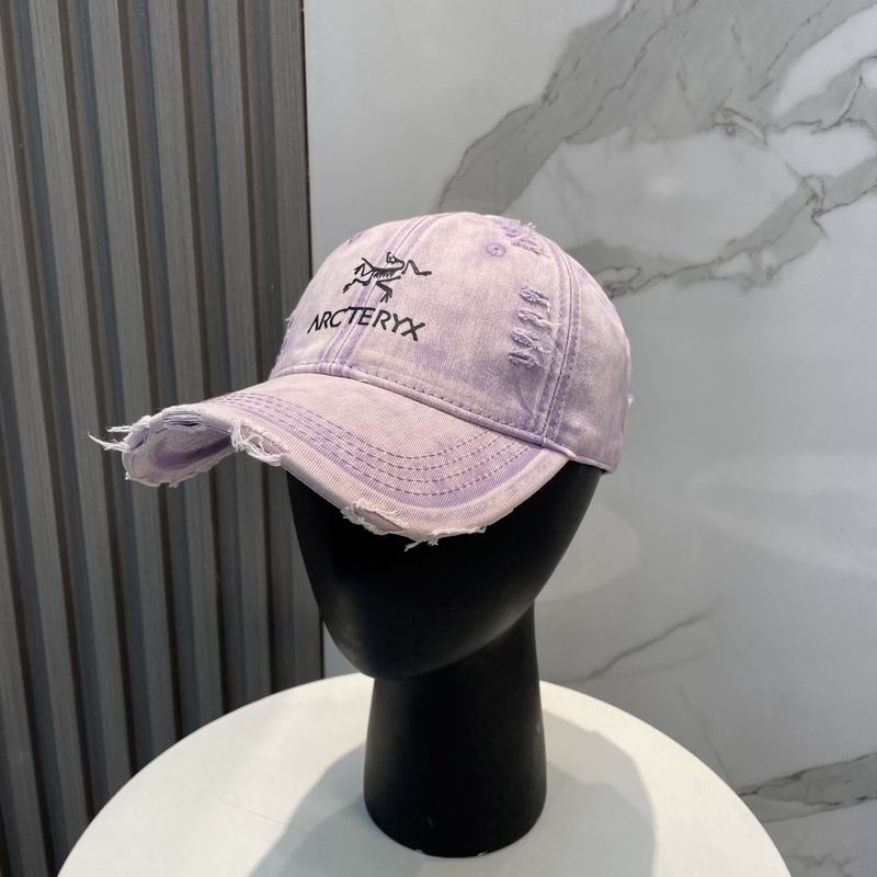 Arcteryx cap dx (3768)
