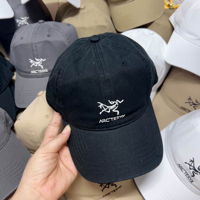 Arcteryx cap dx (4029)