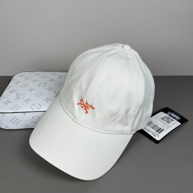 Arcteryx cap dx (5080)