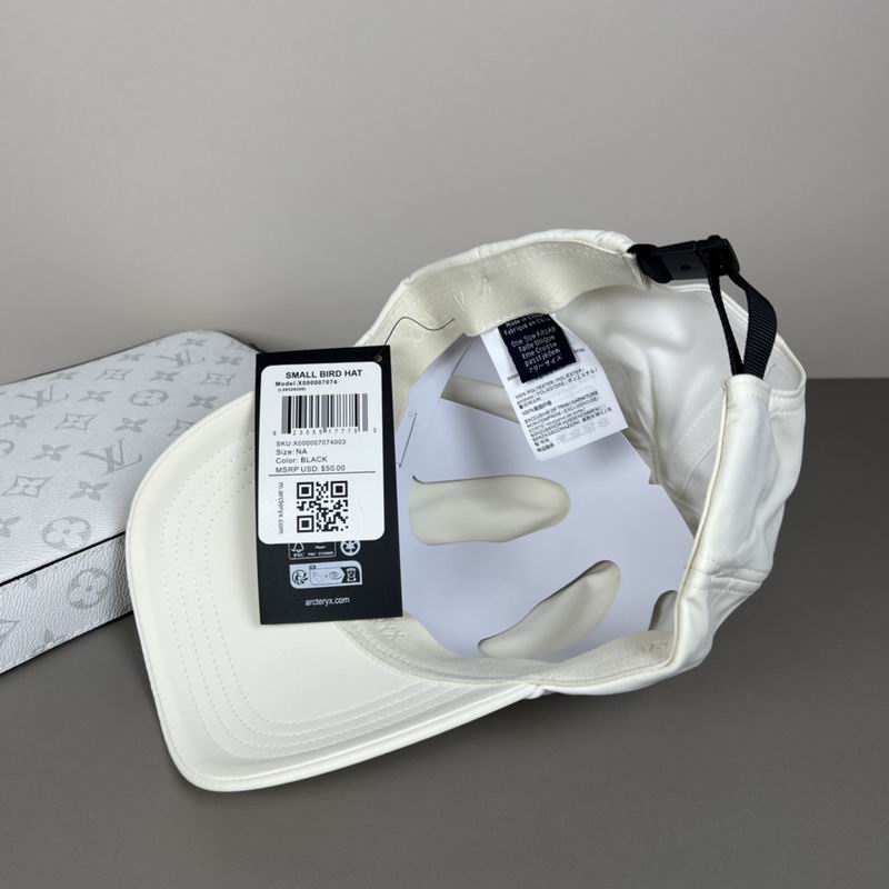 Arcteryx cap dx (5081)