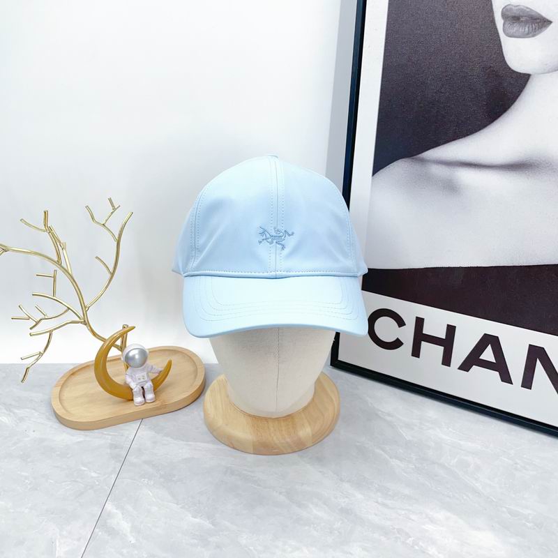 Arcteryx cap dx (589)