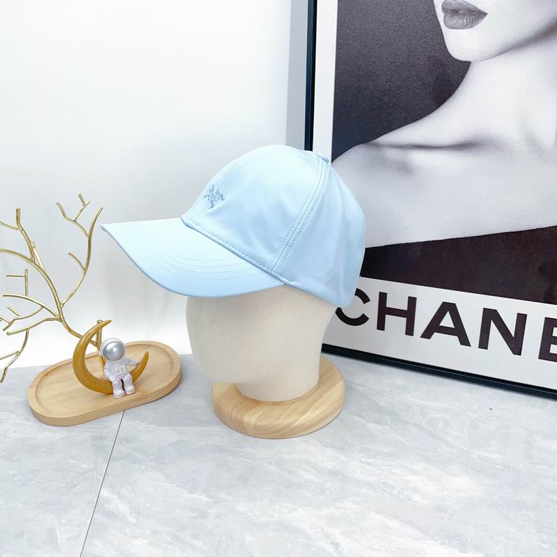 Arcteryx cap dx (590)