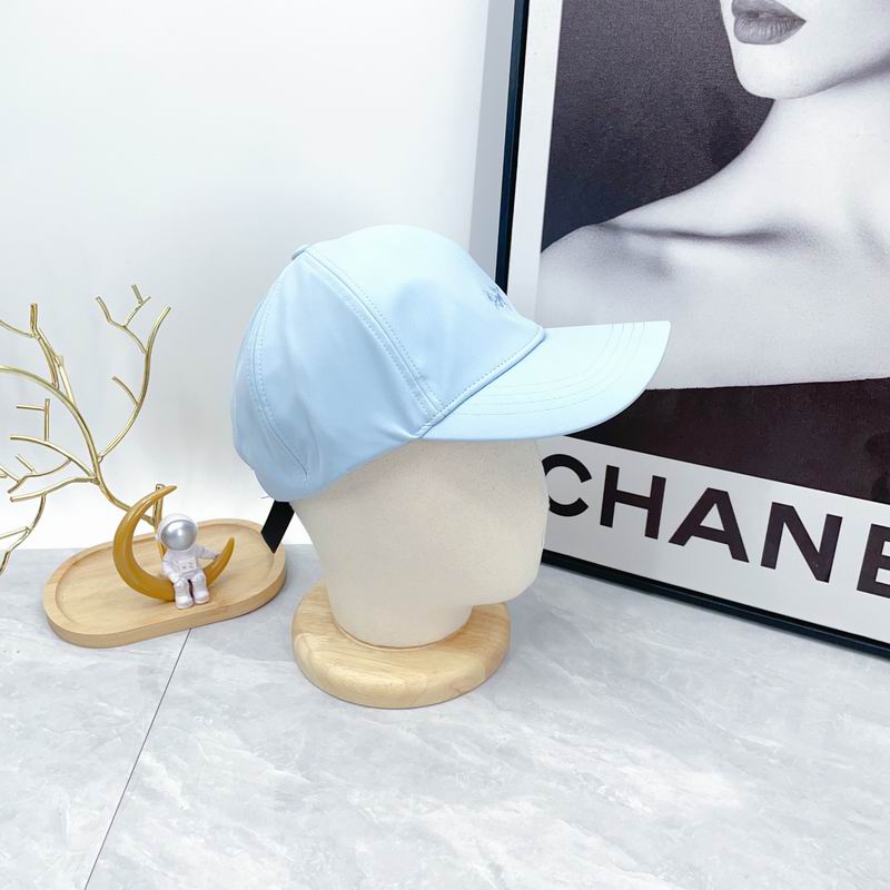 Arcteryx cap dx (591)