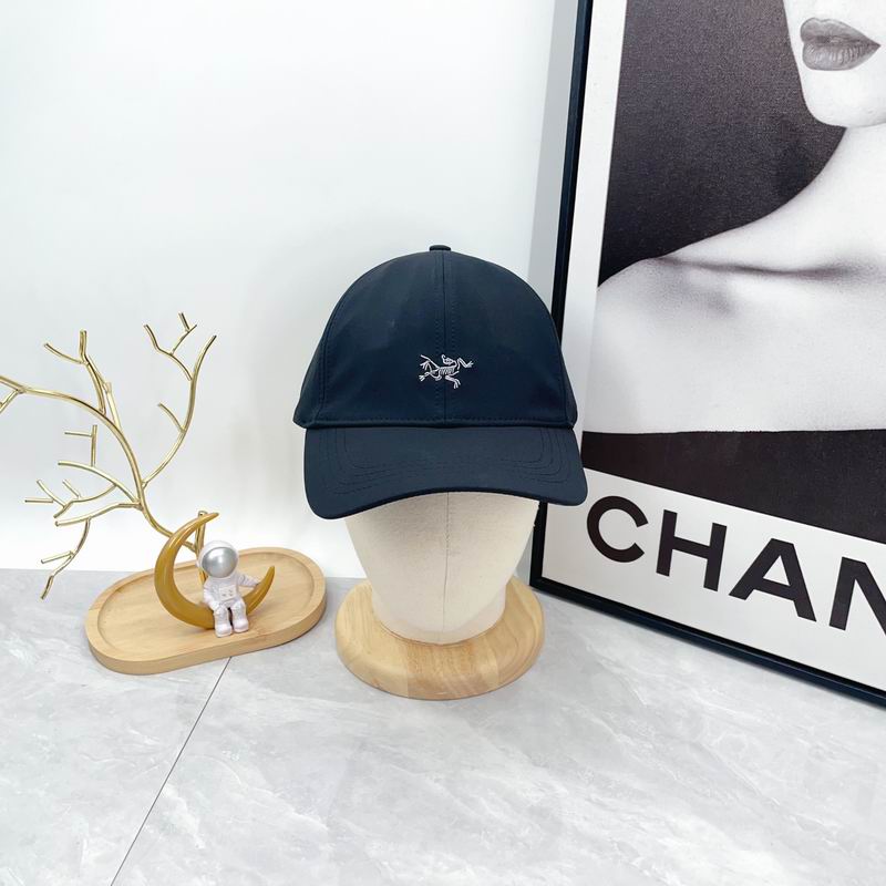 Arcteryx cap dx (598)