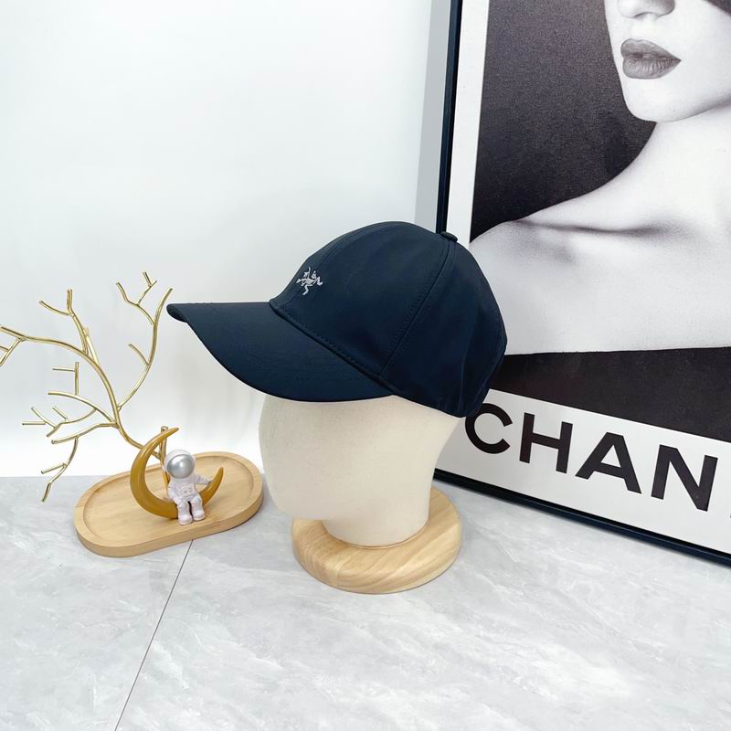 Arcteryx cap dx (600)