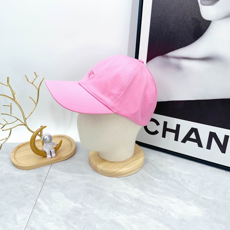 Arcteryx cap dx (608)