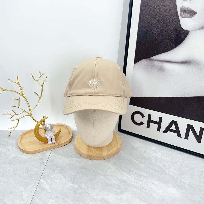 Arcteryx cap dx (616)