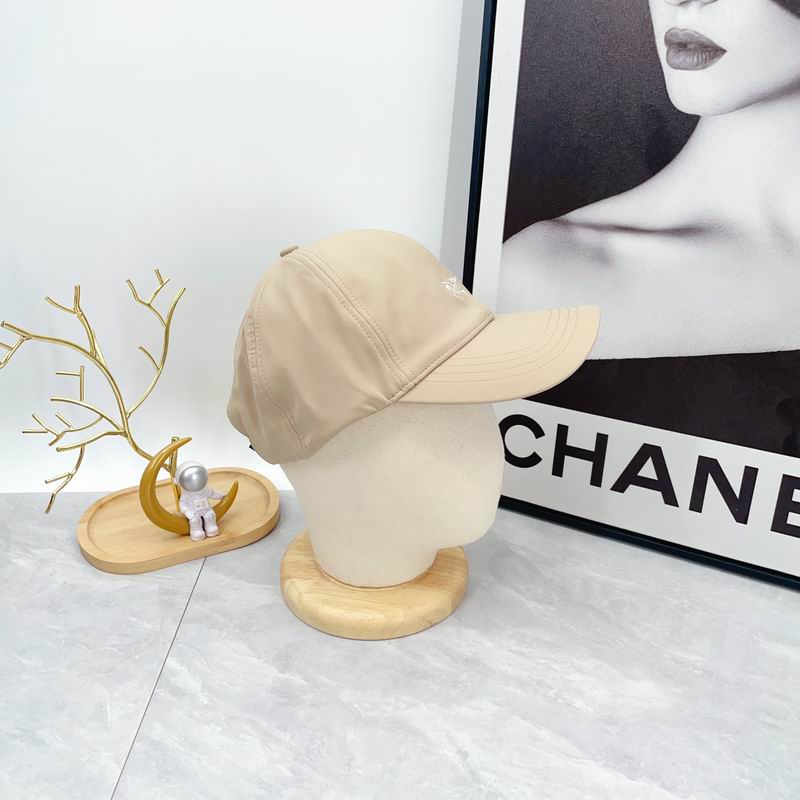 Arcteryx cap dx (617)