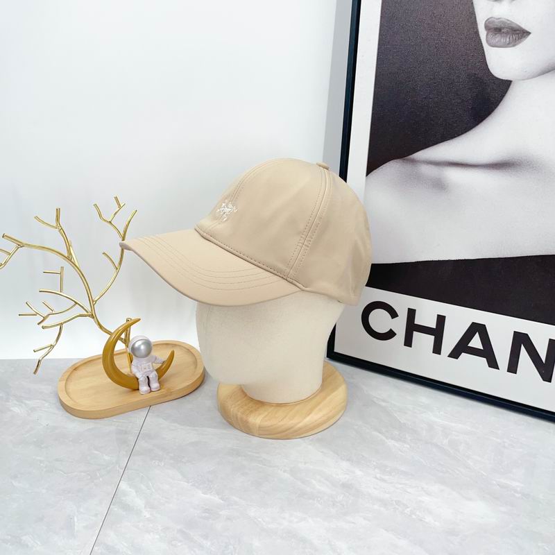 Arcteryx cap dx (618)