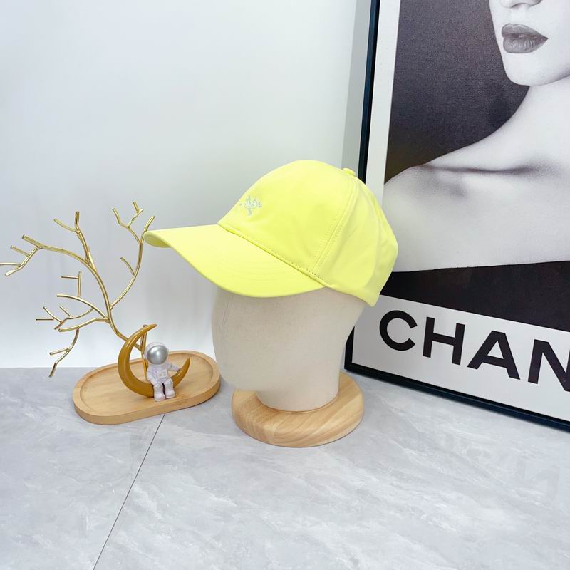 Arcteryx cap dx (626)