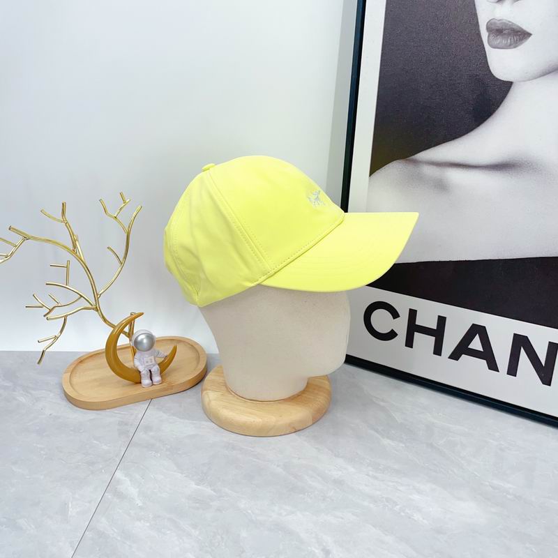 Arcteryx cap dx (627)