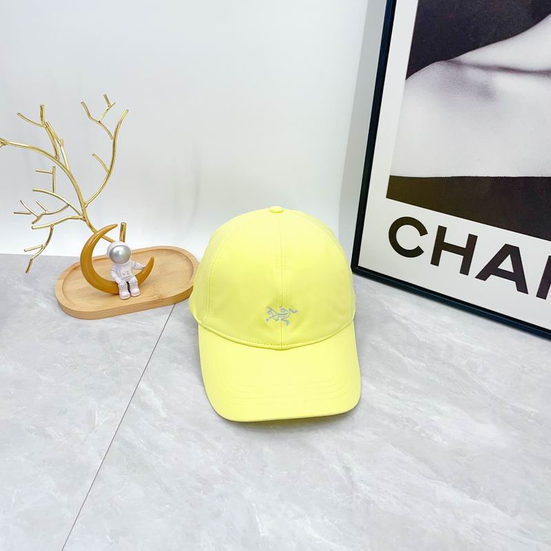 Arcteryx cap dx (629)